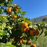Διαμέρισμα Dimos Nr 2 *