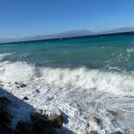 Dimos Nr 2