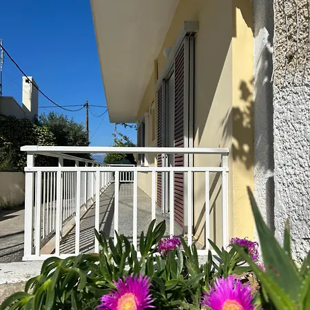 Dimos Nr 2 Likoporiá